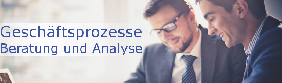 Geschäftsprozessberatung und -analyse
